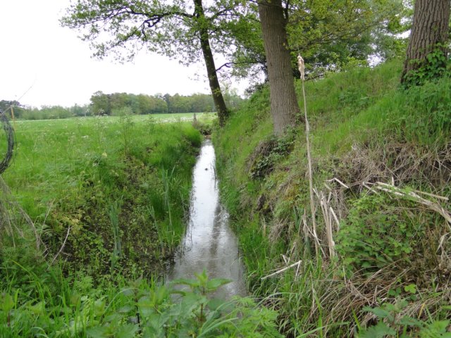 HWK 2010 095.jpg